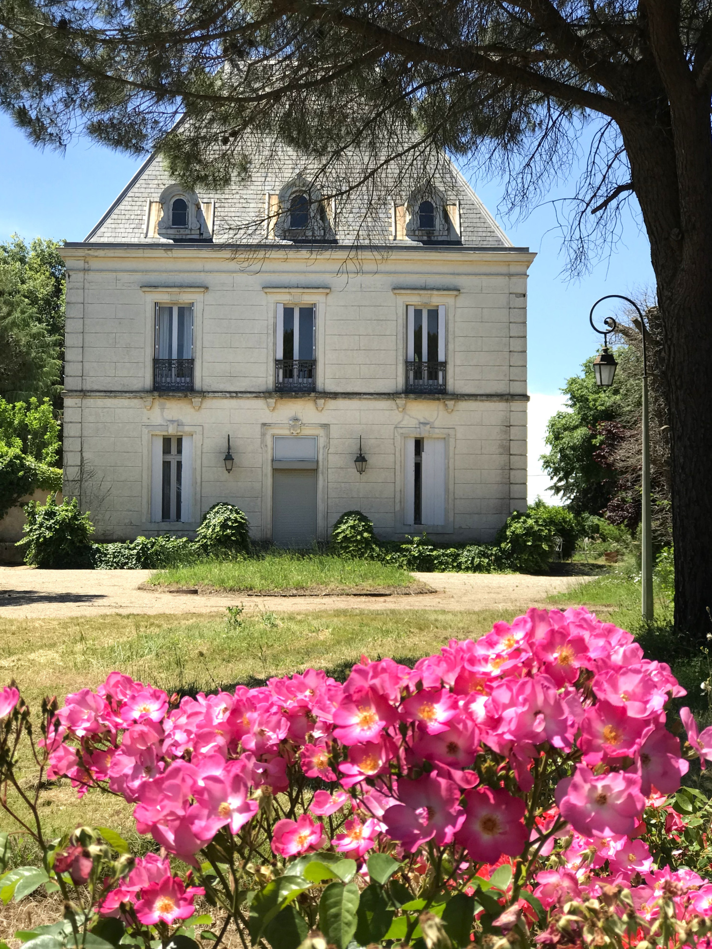 Magnifique propriété viticole du XIXème siècle.  